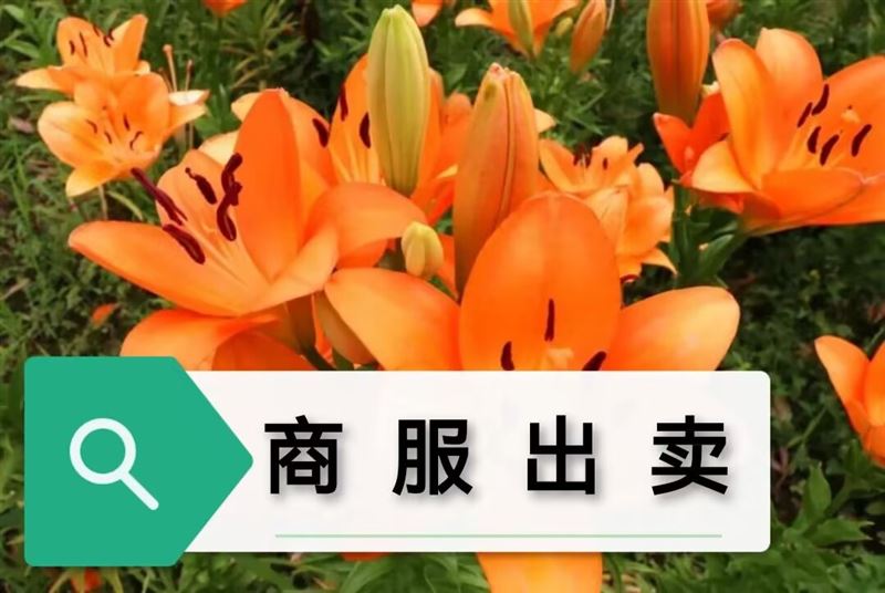 商服出卖