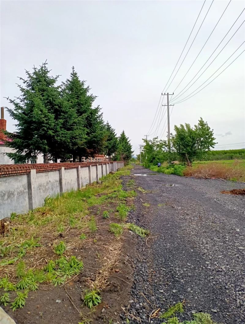 七台河市新兴农场出租出售