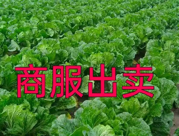 商服出卖