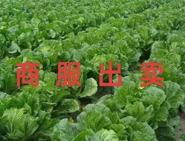 商服出卖