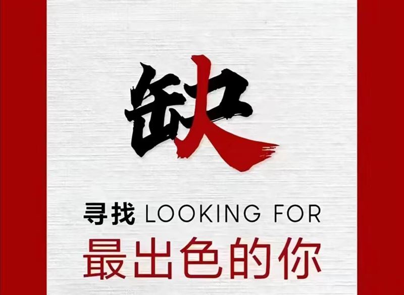 招聘人事专员