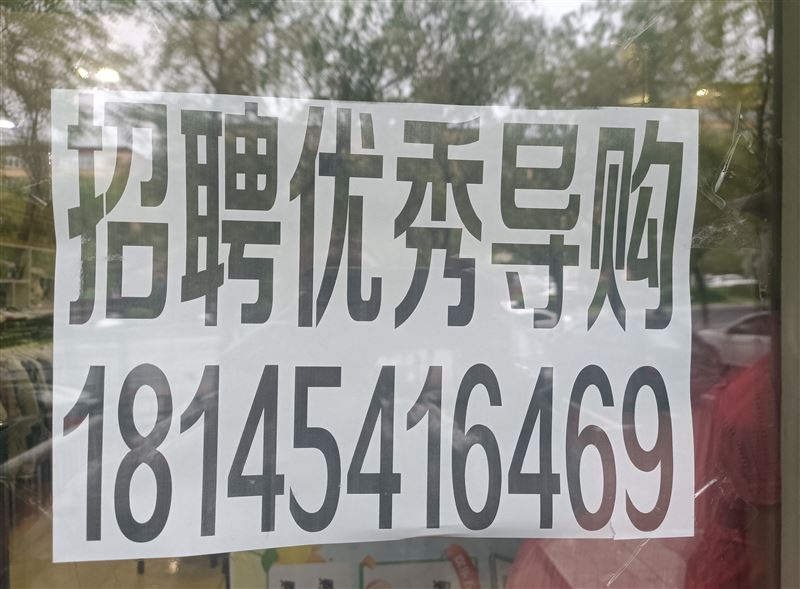 招聘