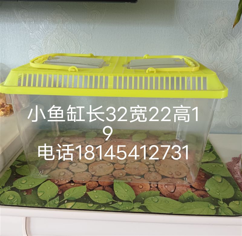 出售闽江鱼缸