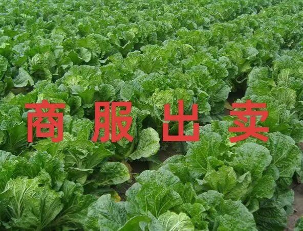 商服出卖