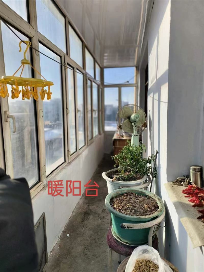 急卖九小九中学区房