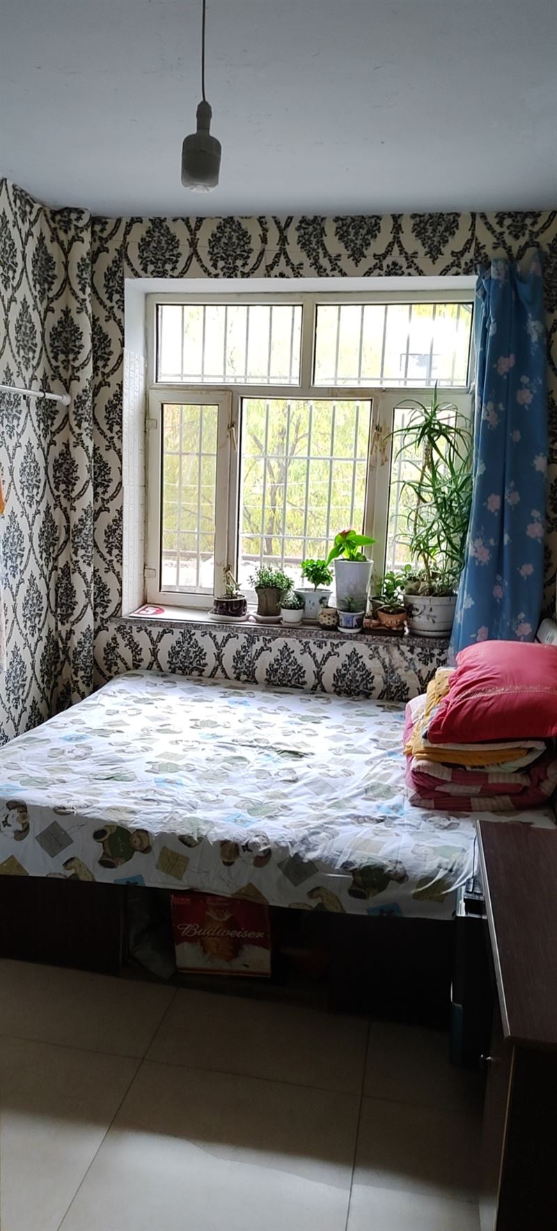 旭日街，单间出租