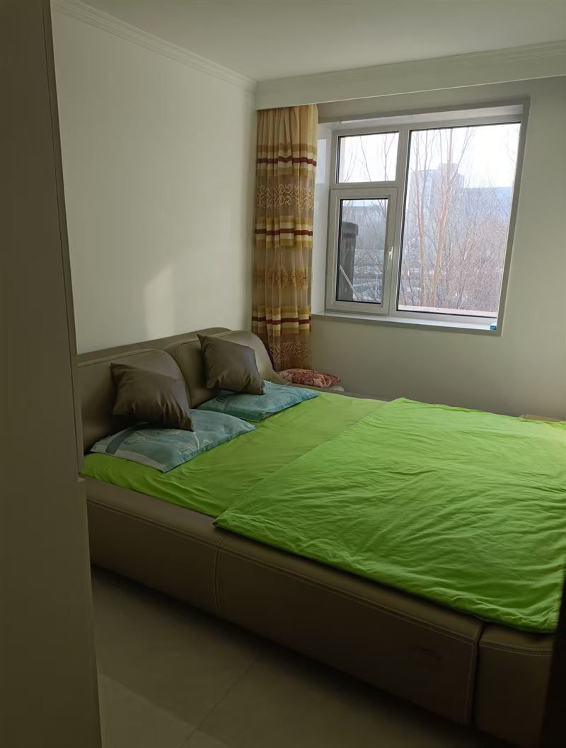 人民公园、东风片区楼房