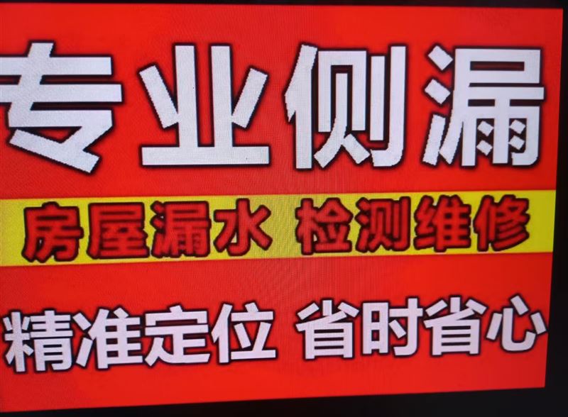 水暖工,测漏水,电工,瓦工做防水,砸墙透下水,刮大白木工,钻眼。